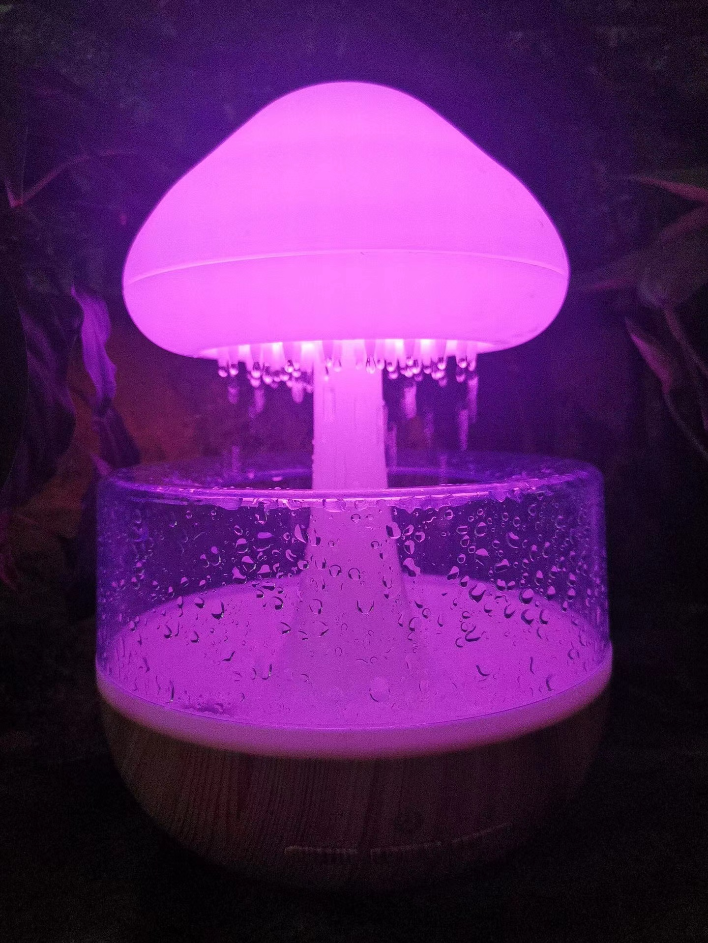 MistMingle Rain Cloud Harmony Humidifier